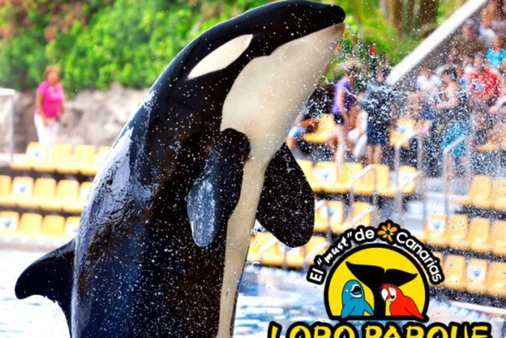Loro Parque Tenerife