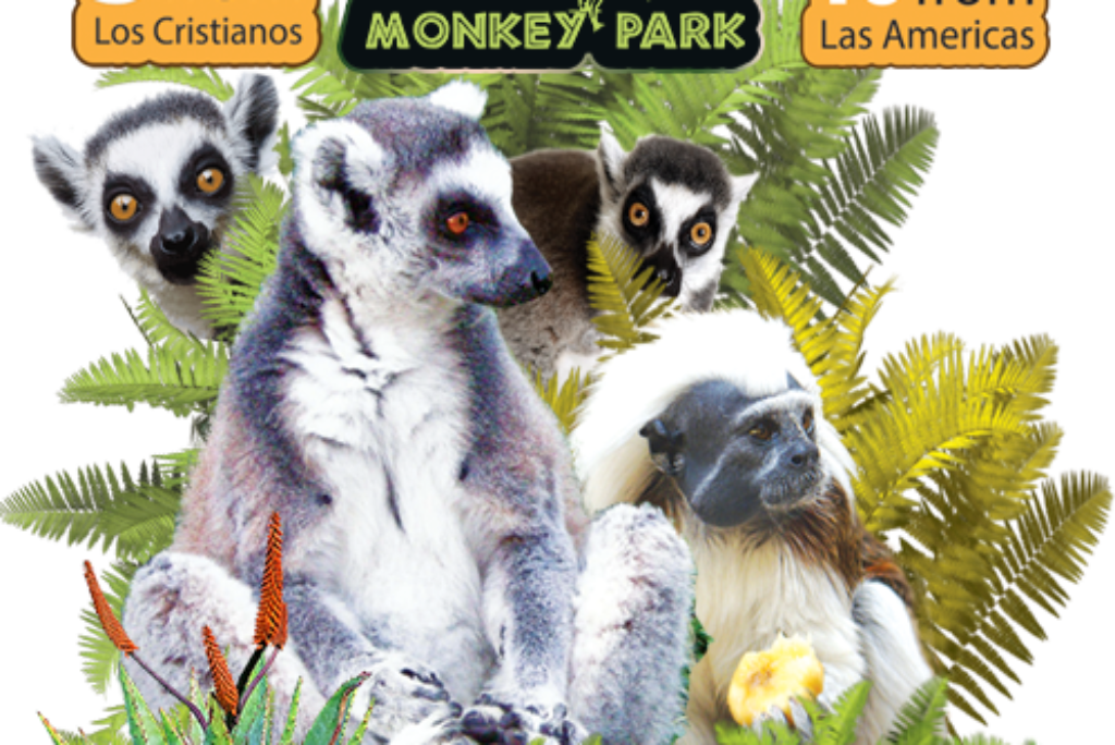 Monkey Park Tenerife