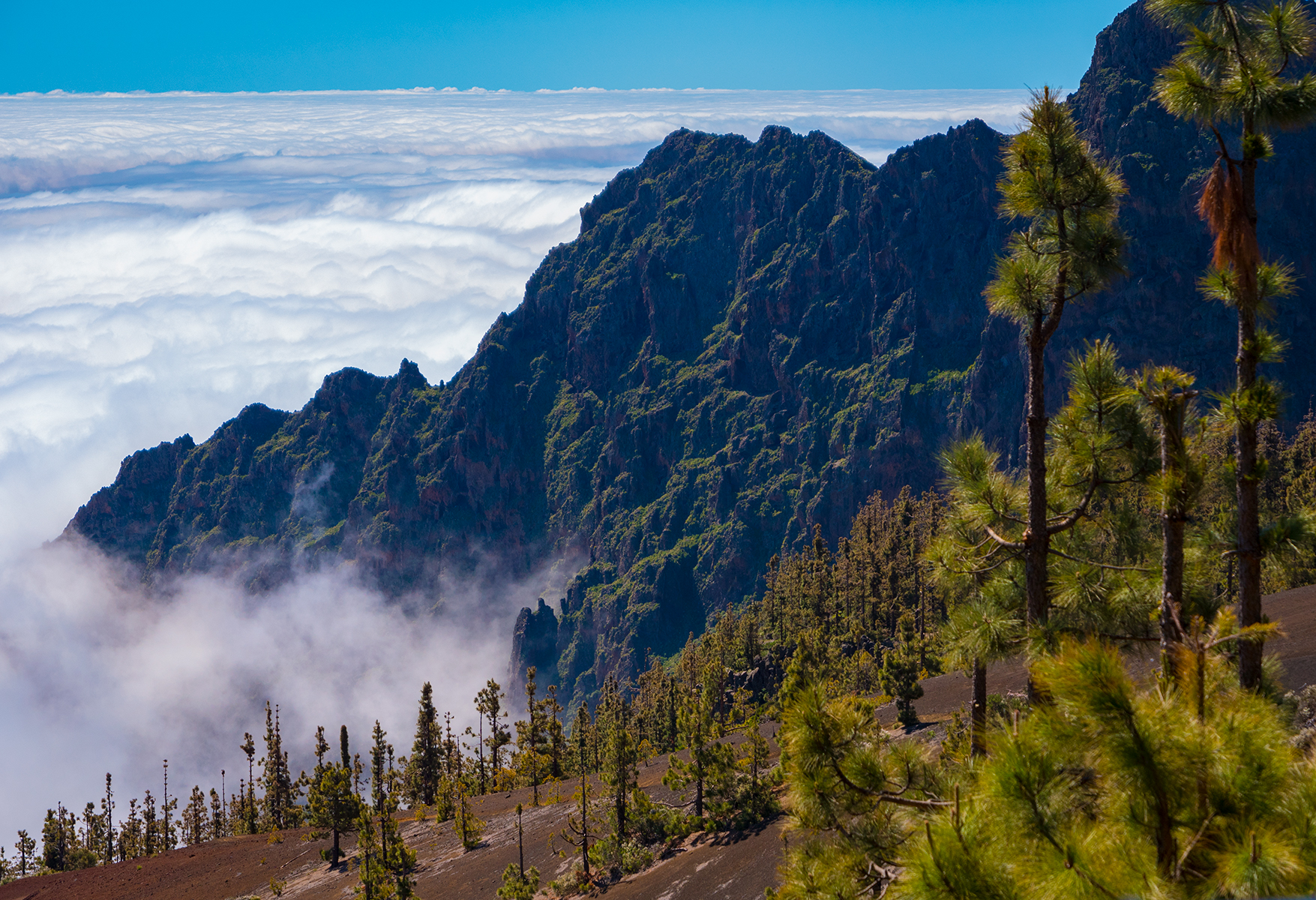 Mirador de la Crucita Mirador de la Crucita