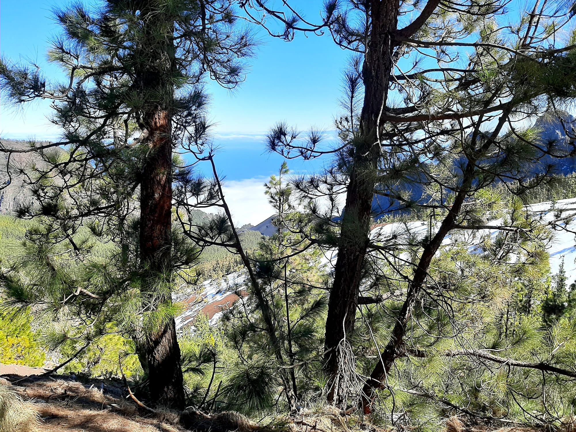 Mirador de la Crucita Mirador de la Crucita