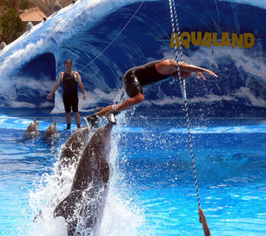 Aqualand